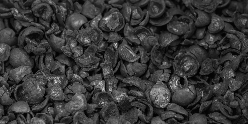 Reducing Shells Rethinking waste: how macadamia shells could help reduce carbon ...