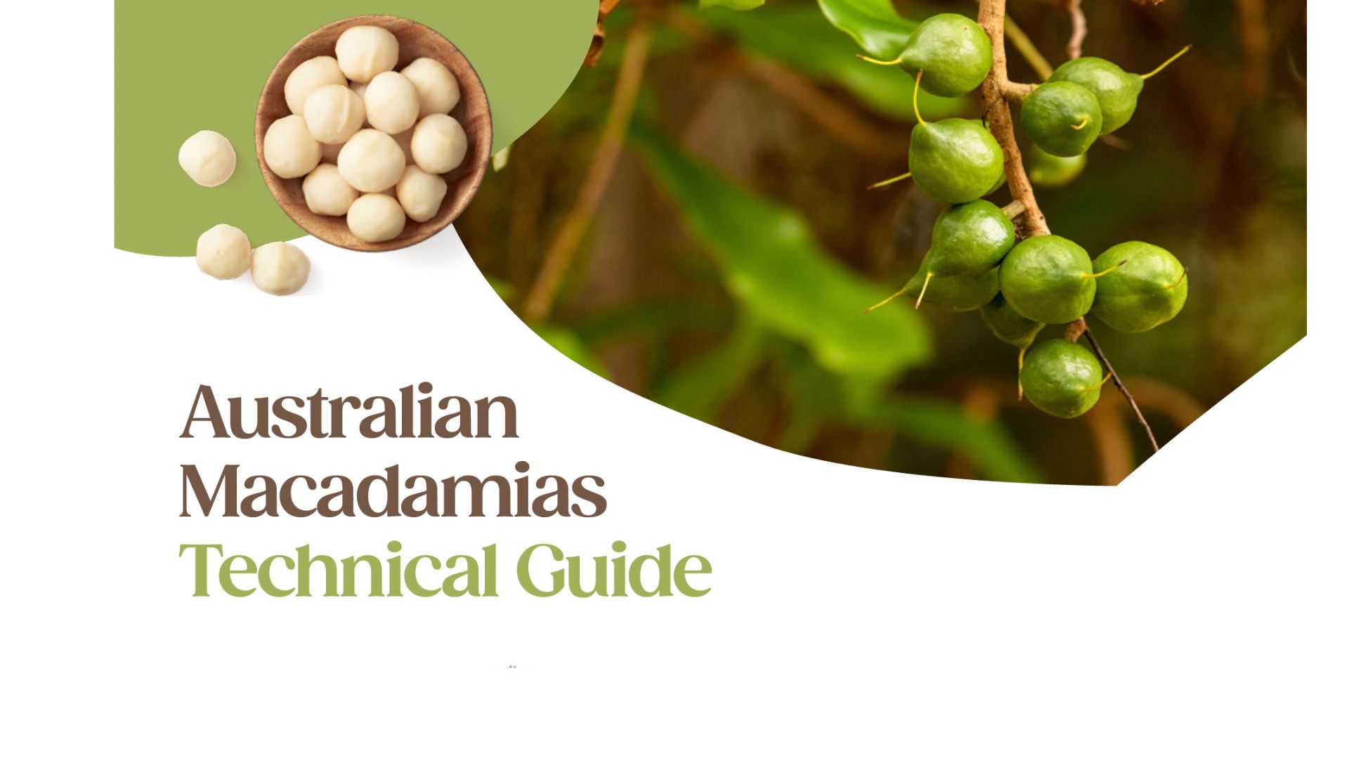 Introducing the Australian Macadamias Technical Guide: A new