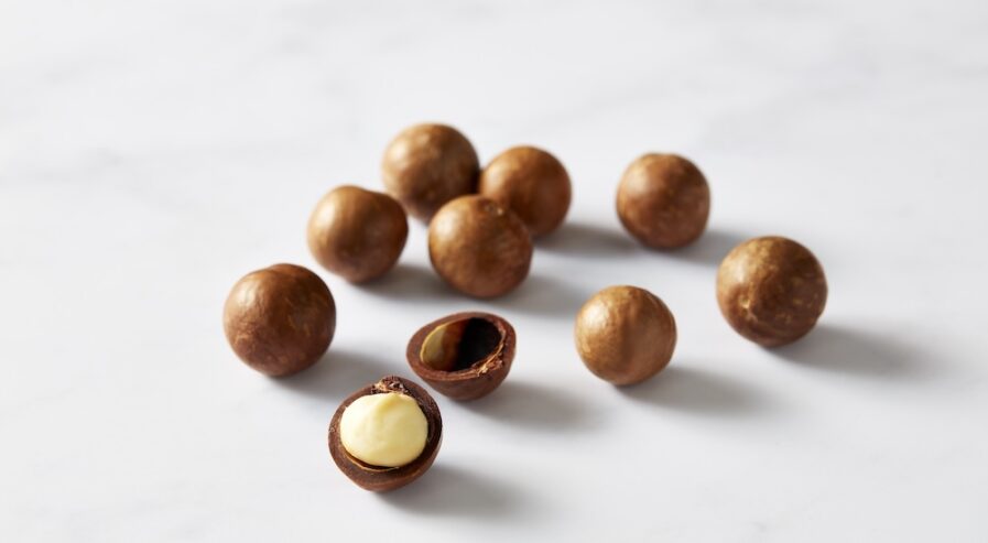 Macadamias on a white surface in their shells, with one partially unshelled with kernel visible in the foreground