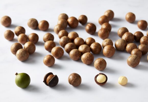 Macadamias on a white surface