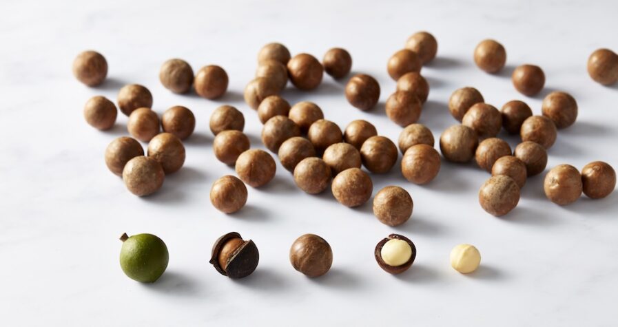 Macadamias on a white surface
